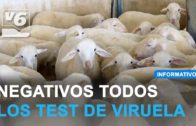 Negativo en todos los test de la viruela ovina en Castilla La Mancha