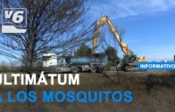 Limpian el Canal de María Cristina para zanjar el problema de mosquitos