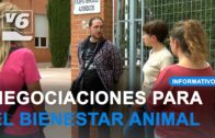 Acuerdo verbal para que ‘El Arca de Noé’ recoja los animales abandonados