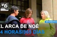 El Arca de Noé continuará prestando el servicio de recogida de animales abandonados