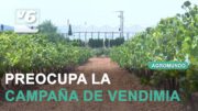AGROMUNDO | Campaña de vendimia, planta de biogás en Chinchilla y enfermedad hemorrágica en Albacete