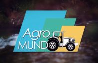 AGROMUNDO | Adelanto de la vendimia, salarios y cordero raza manchega en este programa