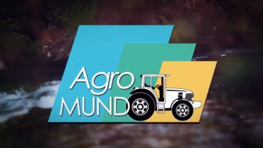 AGROMUNDO | Adelanto de la vendimia, salarios y cordero raza manchega en este programa