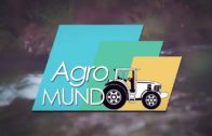 AGROMUNDO | Tomates de Liétor, repercusión de la crisis del cereal y actualidad agrícola y ganadera