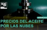 Almendra, precios del aceite y actualidad del sector, esta semana en AGROMUNDO