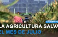 La agricultura salva los datos del paro en la provincia de Albacete