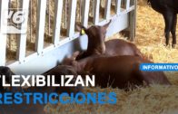 La Junta actualiza las medidas ante la viruela ovina y caprina en Castilla-La Mancha