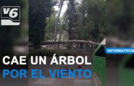 La Bicicleta Azul recorrerá las calles de Albacete con música y cine