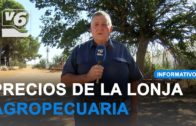 Curba anima a dejar el coche este domingo … y siempre que se pueda