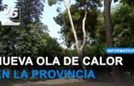 Curba anima a dejar el coche este domingo … y siempre que se pueda
