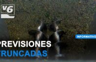 Drástica bajada en las previsiones de la campaña de la vendimia en C-LM