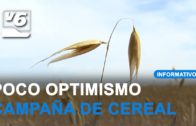 Cerealistas poco optimistas en Albacete ante una campaña reducida