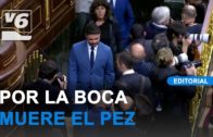 Más de 4 toneladas de hachís con base en Casas Ibáñez