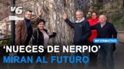 Nerpio mira al futuro con sus nueces de origen protegido