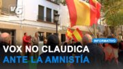 VOX alzó la voz contra la Amnistía y el gobierno de Sánchez con una concentración en la capital