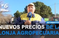 Precios actualizados de la Lonja Agropecuaria de Albacete