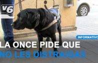 Un paseo con Emilio y Omer en el Día Internacional de Perro Guía