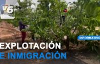 13 detenidos en una operación de la Guardia Civil en Hellín contra la explotación de inmigrantes