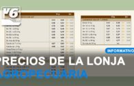 El Fundación Albacete se mide este domingo al filial del Barcelona