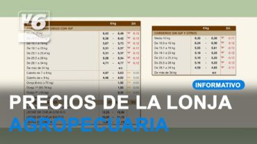 Precios actualizados de la Lonja Agropecuaria de Albacete