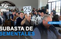 La ilustradora Ana Jarén expone en el Museo Municipal #Albacete
