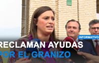 VOX pide ayudas para los agricultores y ganadores de los municipios afectados por el granizo